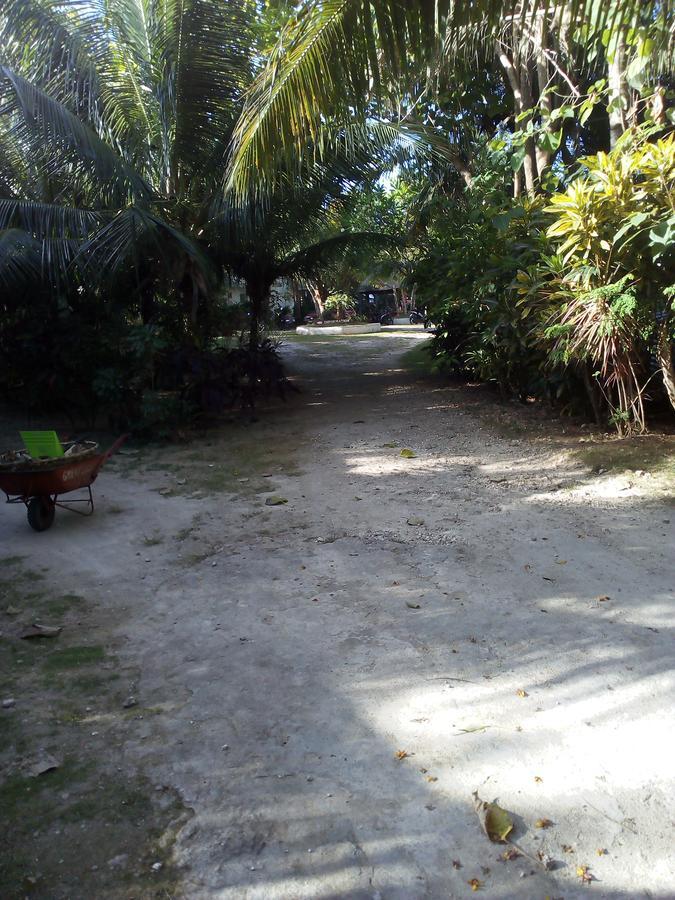 John Lhea Beach Cottages سيكويجور المظهر الخارجي الصورة